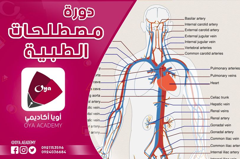 دورة المصطلحات الطبية 